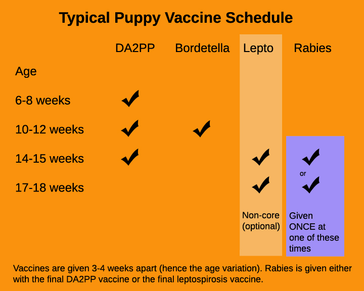 Puppy vaccine protocol